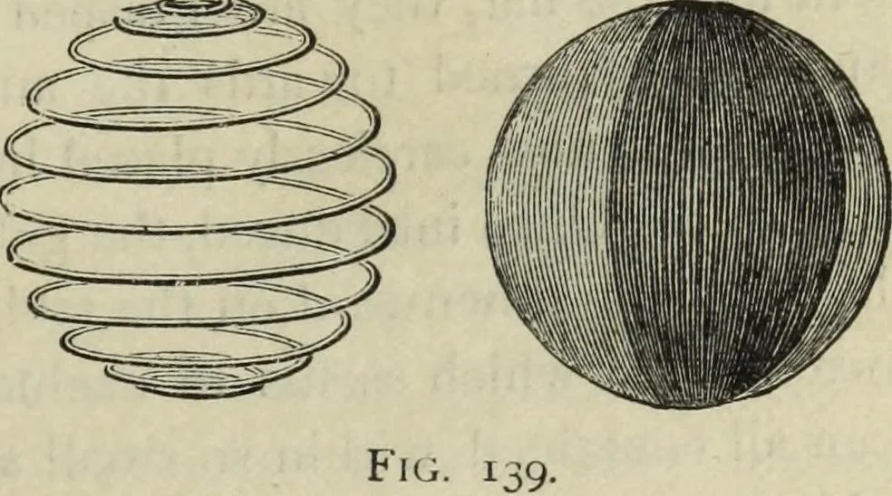 An illustration from Modern magic. : A practical treatise on the art of conjuring., 1885, leaf 330