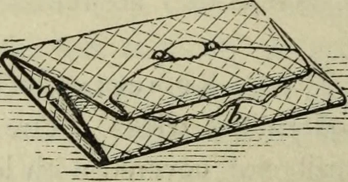 An illustration from Modern magic. : A practical treatise on the art of conjuring., 1885, leaf 333