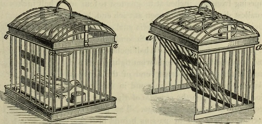 An illustration from Modern magic. : A practical treatise on the art of conjuring., 1885, leaf 334