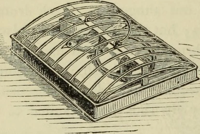 An illustration from Modern magic. : A practical treatise on the art of conjuring., 1885, leaf 335