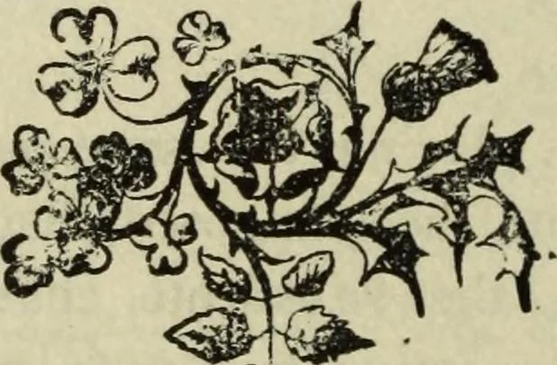 An illustration from Modern magic. : A practical treatise on the art of conjuring., 1885, leaf 339