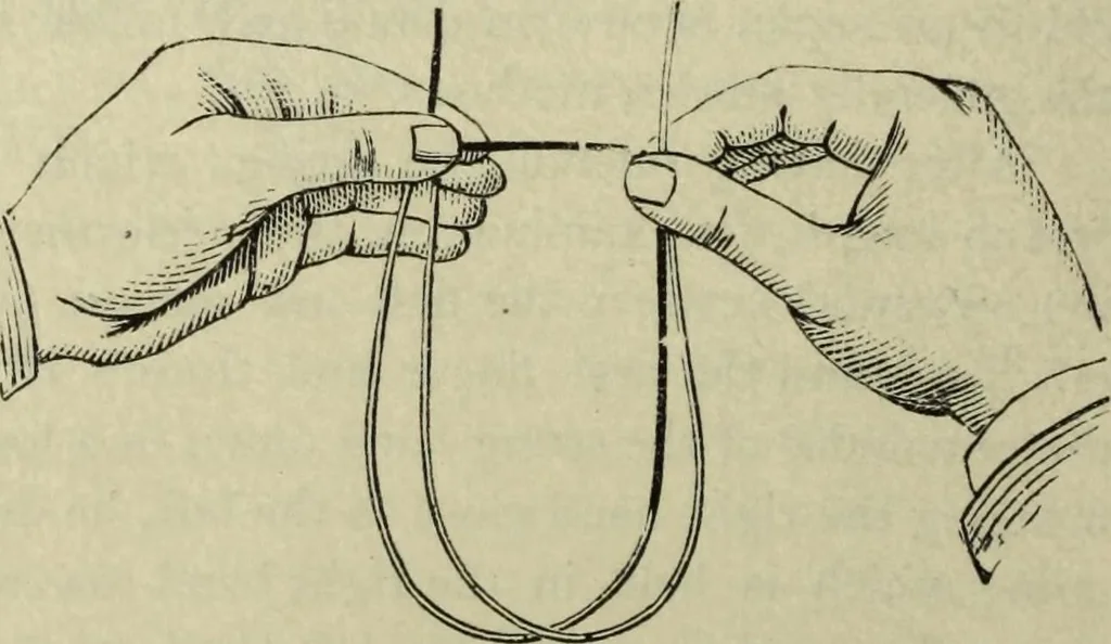 An illustration from Modern magic. : A practical treatise on the art of conjuring., 1885, leaf 341