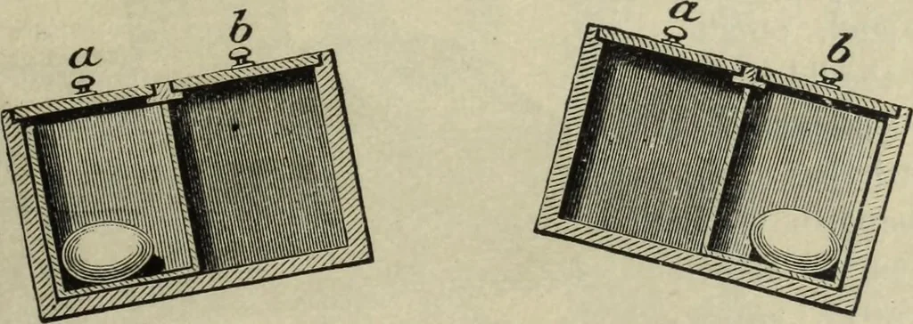 An illustration from Modern magic. : A practical treatise on the art of conjuring., 1885, leaf 372