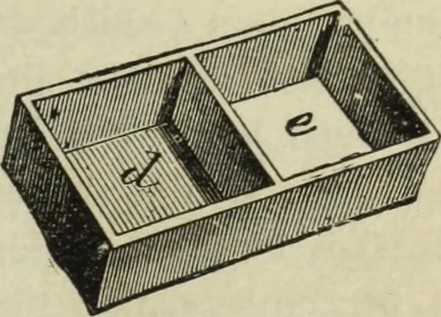 An illustration from Modern magic. : A practical treatise on the art of conjuring., 1885, leaf 376