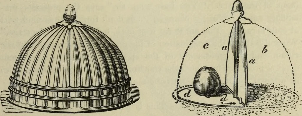 An illustration from Modern magic. : A practical treatise on the art of conjuring., 1885, leaf 380