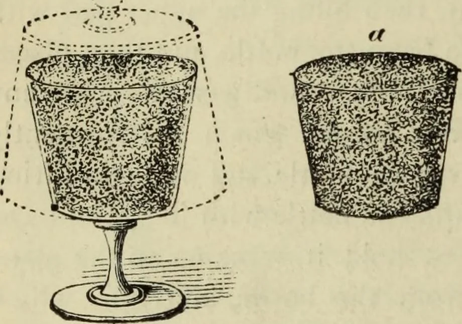 An illustration from Modern magic. : A practical treatise on the art of conjuring., 1885, leaf 407