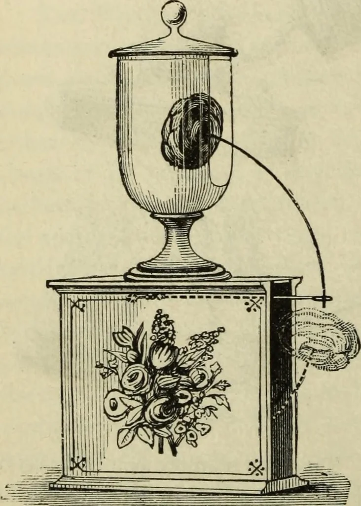 An illustration from Modern magic. : A practical treatise on the art of conjuring., 1885, leaf 423