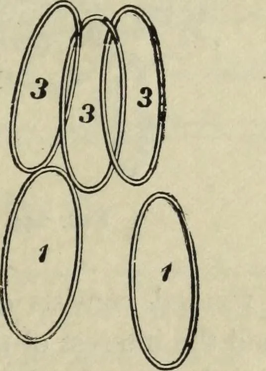 An illustration from Modern magic. : A practical treatise on the art of conjuring., 1885, leaf 430
