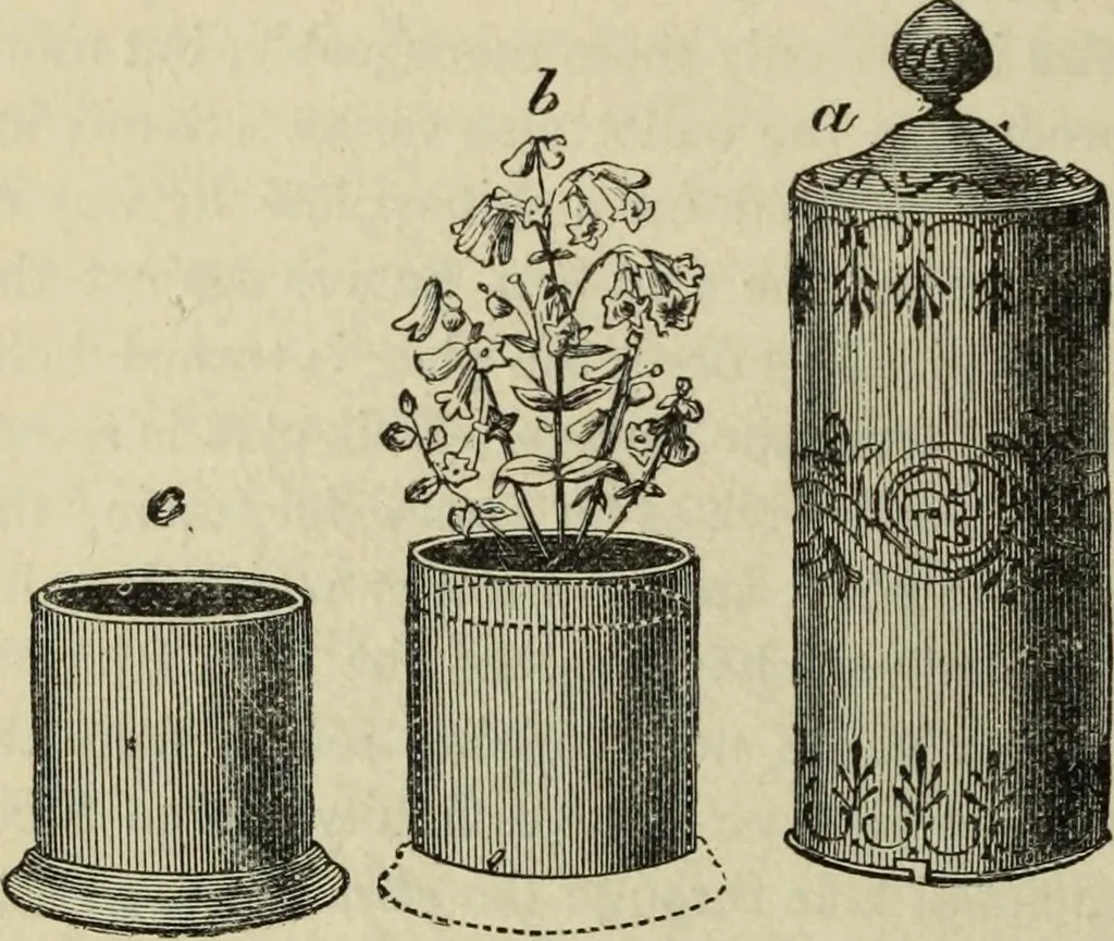 An illustration from Modern magic. : A practical treatise on the art of conjuring., 1885, leaf 435