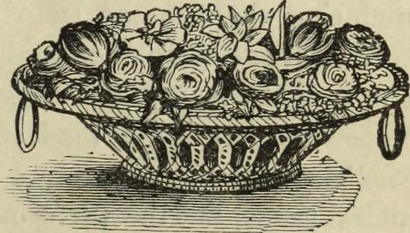 An illustration from Modern magic. : A practical treatise on the art of conjuring., 1885, leaf 436