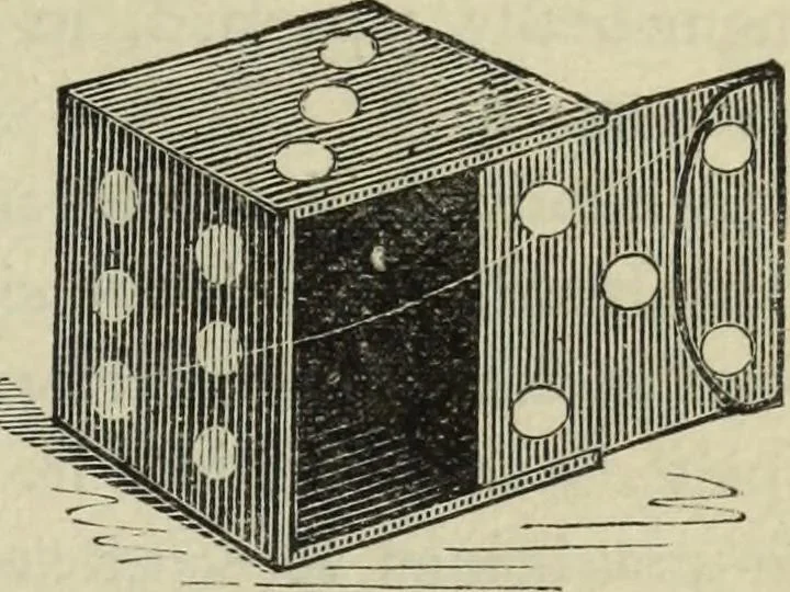 An illustration from Modern magic. : A practical treatise on the art of conjuring., 1885, leaf 448