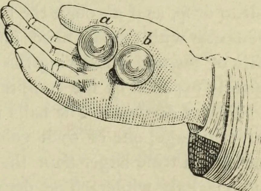 An illustration from Modern magic. : A practical treatise on the art of conjuring., 1885, leaf 452