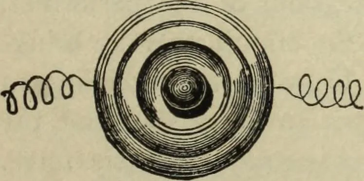 An illustration from Modern magic. : A practical treatise on the art of conjuring., 1885, leaf 504