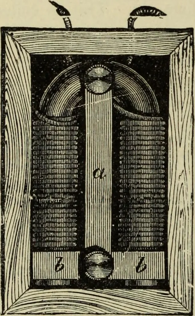 An illustration from Modern magic. : A practical treatise on the art of conjuring., 1885, leaf 509