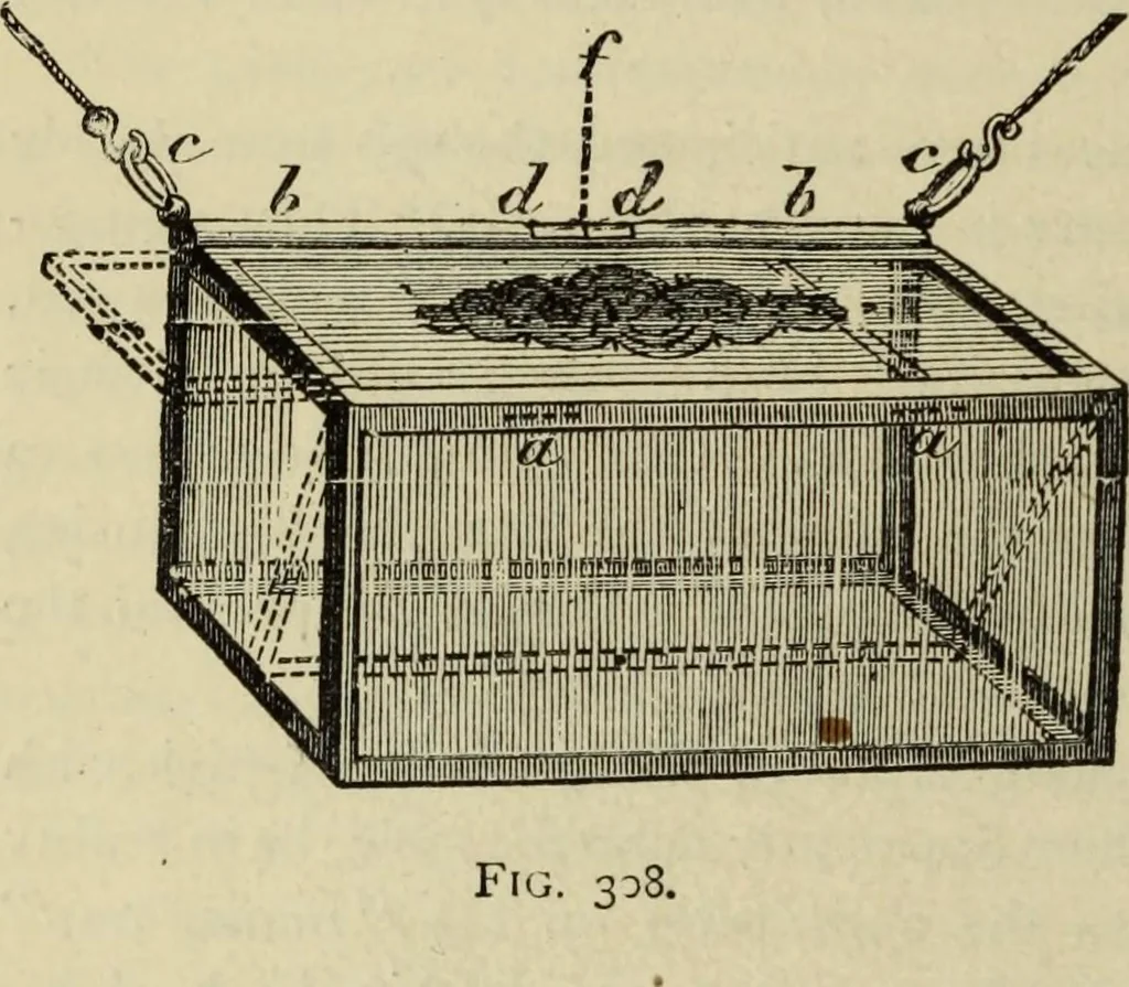 An illustration from Modern magic. : A practical treatise on the art of conjuring., 1885, leaf 513