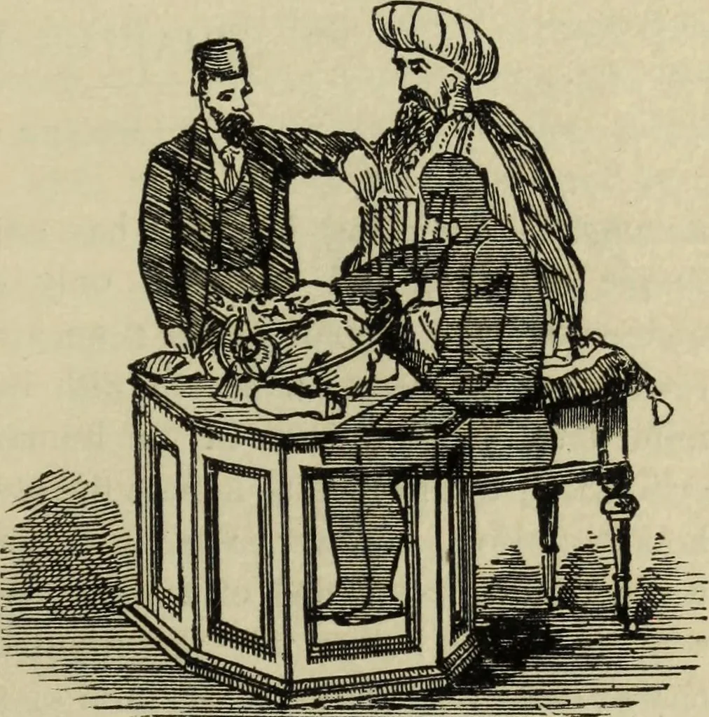 An illustration from Modern magic. : A practical treatise on the art of conjuring., 1885, leaf 544