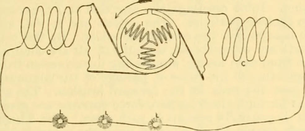 An illustration from Modern mechanism, exhibiting the latest progress in machines, motors, and the transmission of power, being a supplementary volume to Appletons' cyclopaedia of applied mechanics, 1892, leaf 228