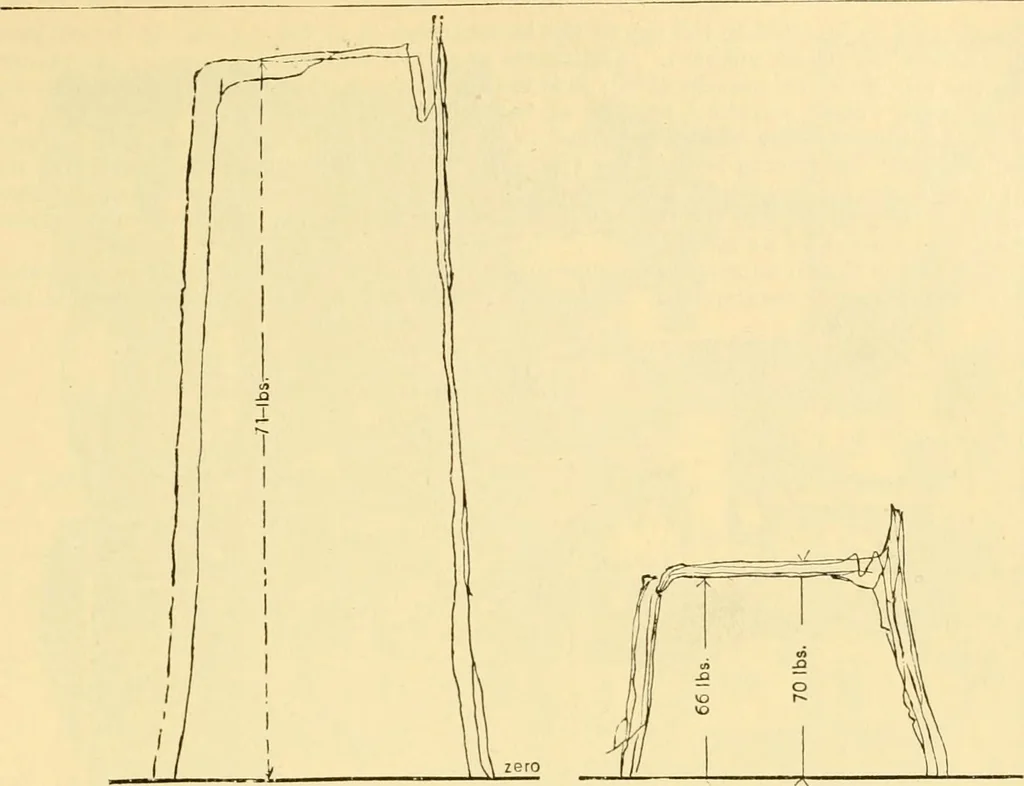 An illustration from Modern mechanism, exhibiting the latest progress in machines, motors, and the transmission of power, being a supplementary volume to Appletons' cyclopaedia of applied mechanics, 1892, leaf 296