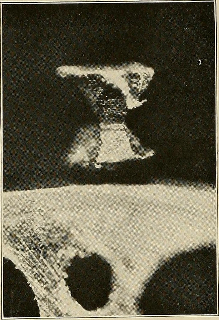 An illustration from Modern methods in horology, 1904, leaf 187