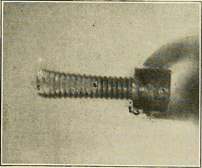 An illustration from Modern methods in horology, 1904, leaf 232