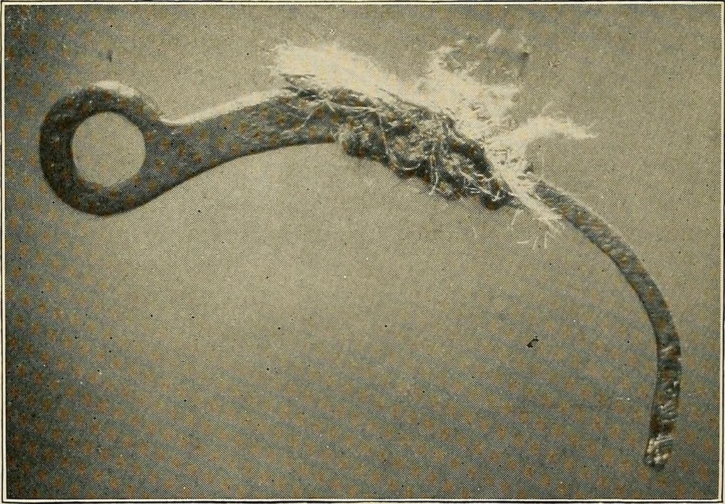 An illustration from Modern methods in horology, 1904, leaf 233