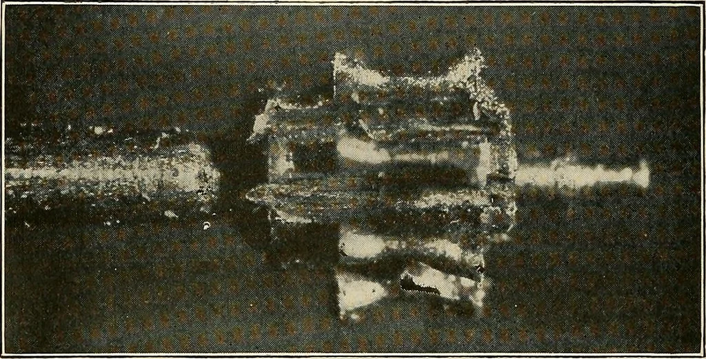 An illustration from Modern methods in horology, 1904, leaf 235