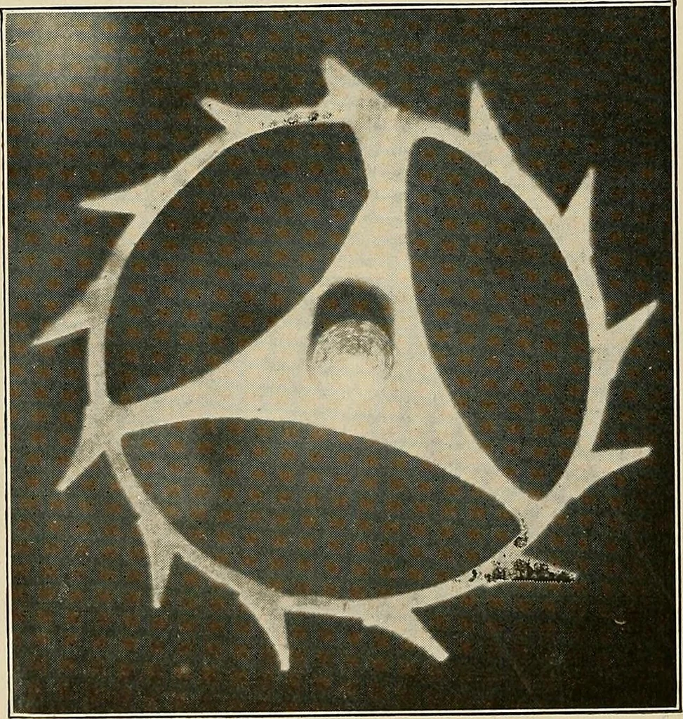 An illustration from Modern methods in horology, 1904, leaf 235