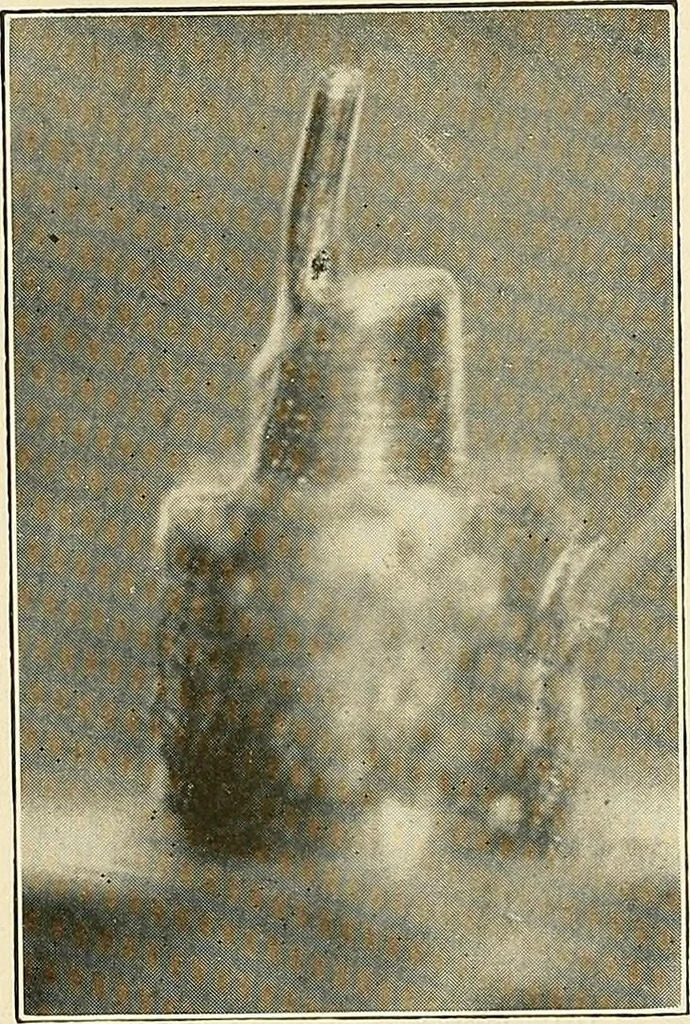 An illustration from Modern methods in horology, 1904, leaf 242