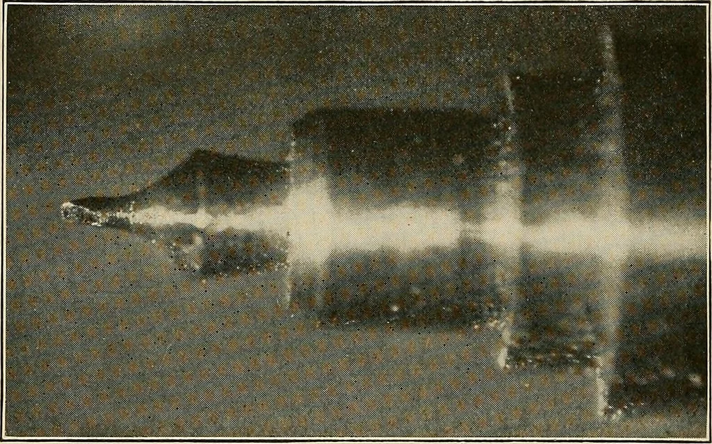 An illustration from Modern methods in horology, 1904, leaf 245