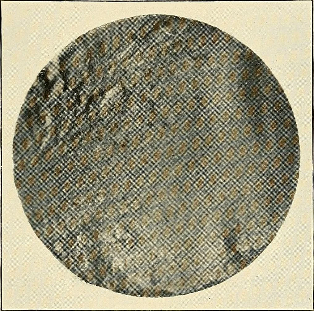 An illustration from Modern methods in horology, 1904, leaf 36