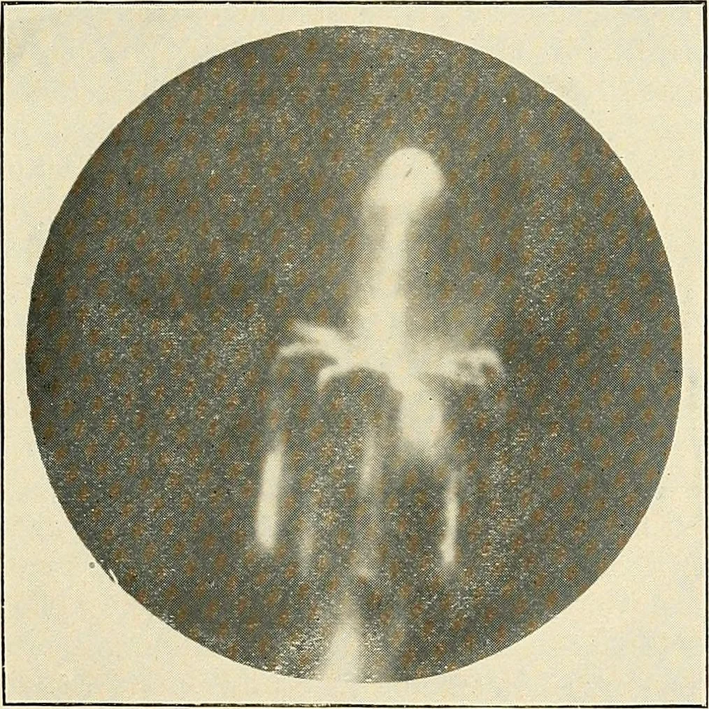 An illustration from Modern methods in horology, 1904, leaf 58