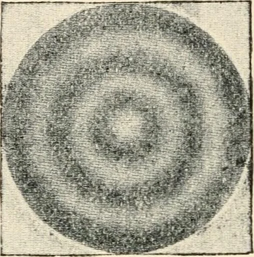 An illustration from Modern microscopy; a handbook for beginners and students, 1912, leaf 103