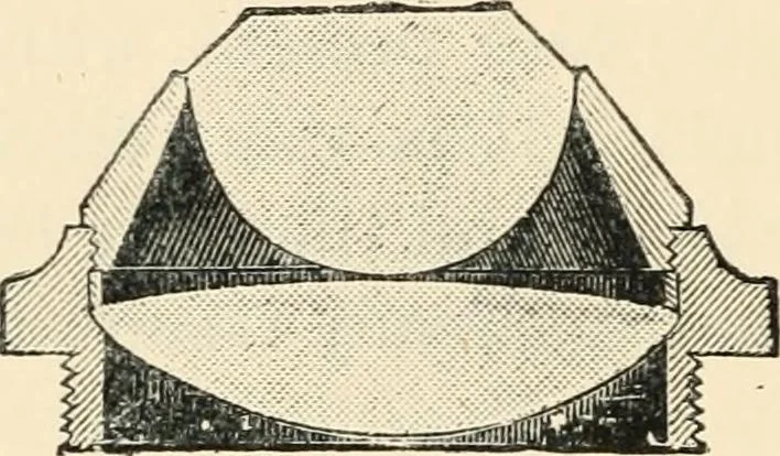 An illustration from Modern microscopy; a handbook for beginners and students, 1912, leaf 115