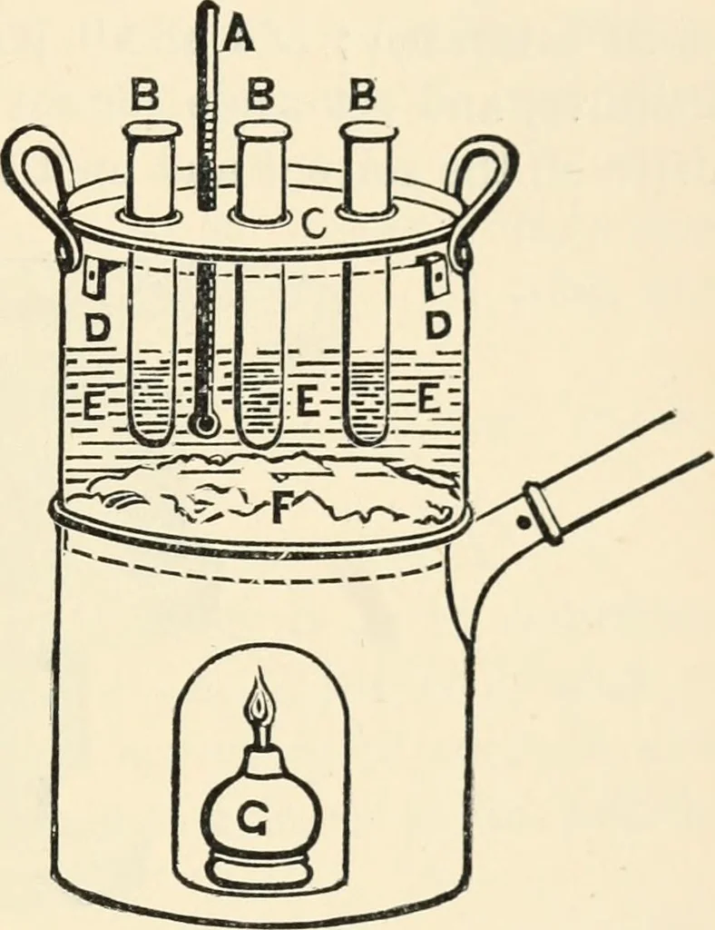 An illustration from Modern microscopy; a handbook for beginners and students, 1912, leaf 168