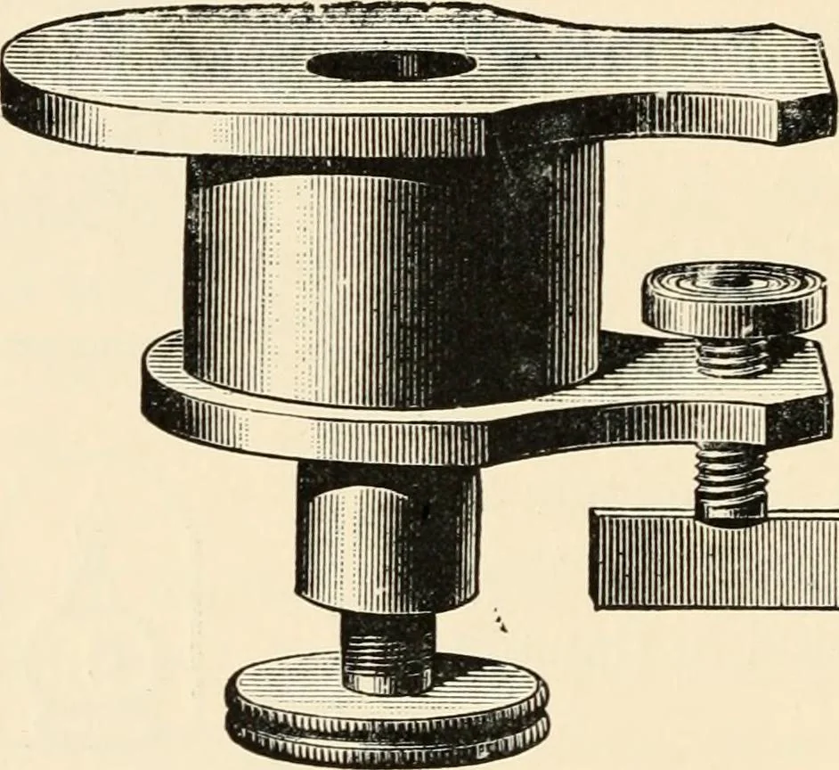 An illustration from Modern microscopy; a handbook for beginners and students, 1912, leaf 169