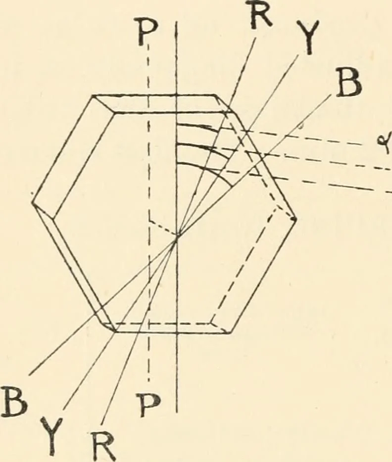 An illustration from Modern microscopy; a handbook for beginners and students, 1912, leaf 247