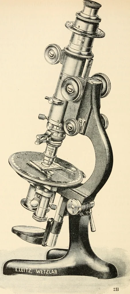 An illustration from Modern microscopy; a handbook for beginners and students, 1912, leaf 251