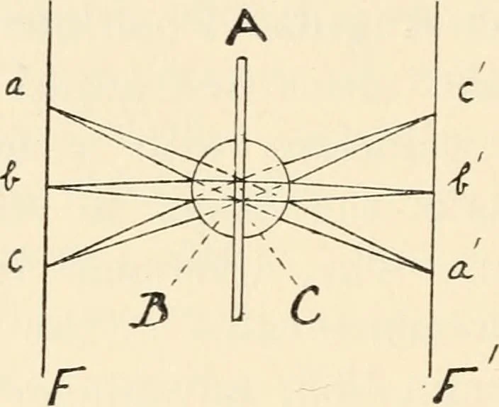 An illustration from Modern microscopy; a handbook for beginners and students, 1912, leaf 255