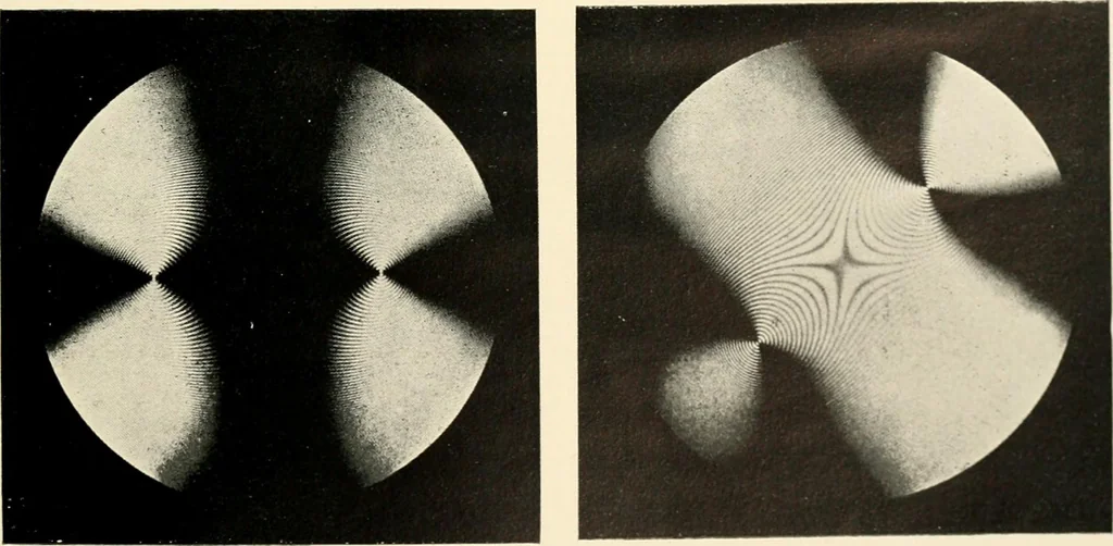 An illustration from Modern microscopy; a handbook for beginners and students, 1912, leaf 258