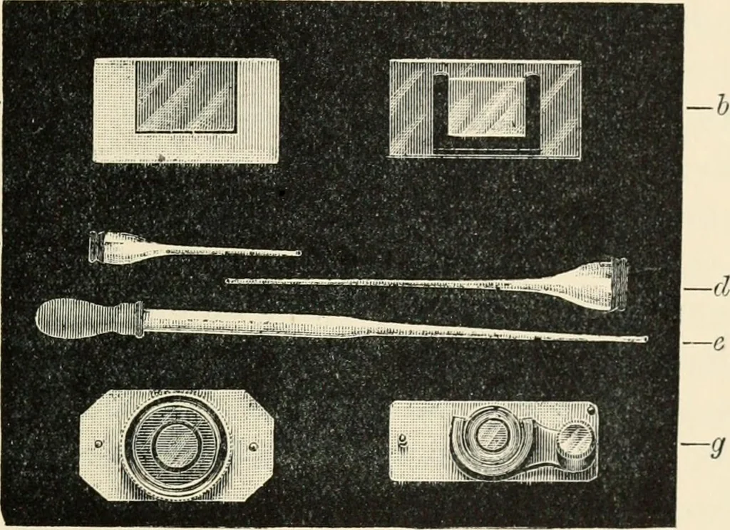 An illustration from Modern microscopy; a handbook for beginners and students, 1912, leaf 276