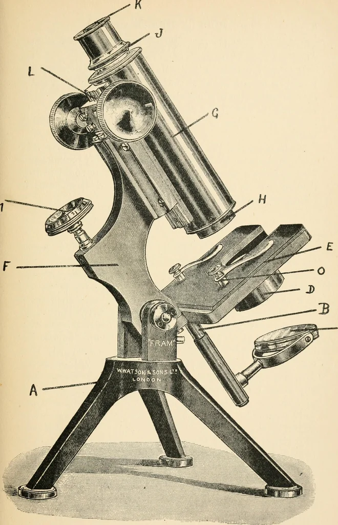 An illustration from Modern microscopy; a handbook for beginners and students, 1912, leaf 28