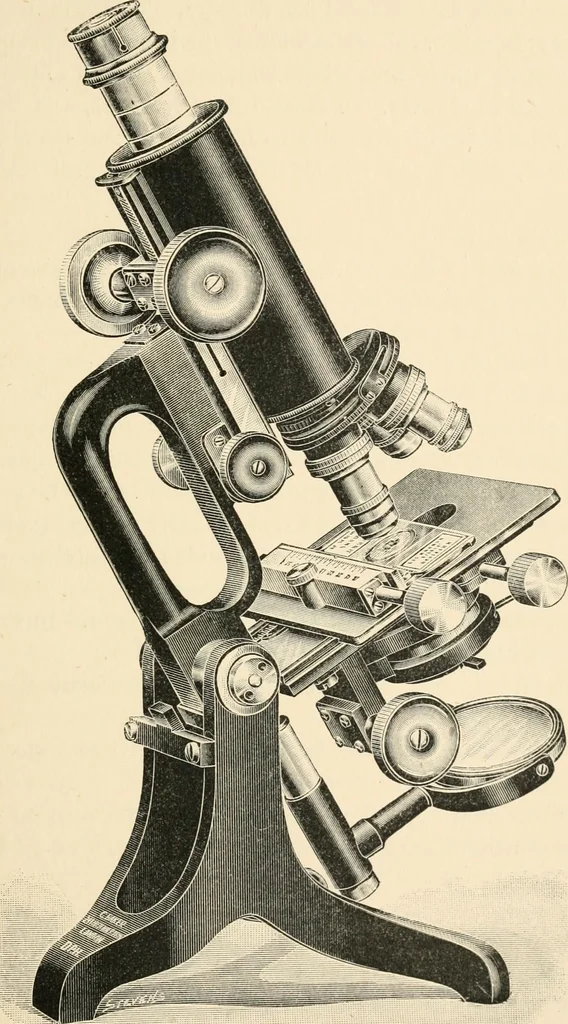 An illustration from Modern microscopy; a handbook for beginners and students, 1912, leaf 30