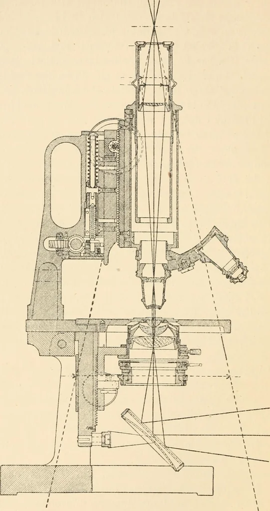 An illustration from Modern microscopy; a handbook for beginners and students, 1912, leaf 33