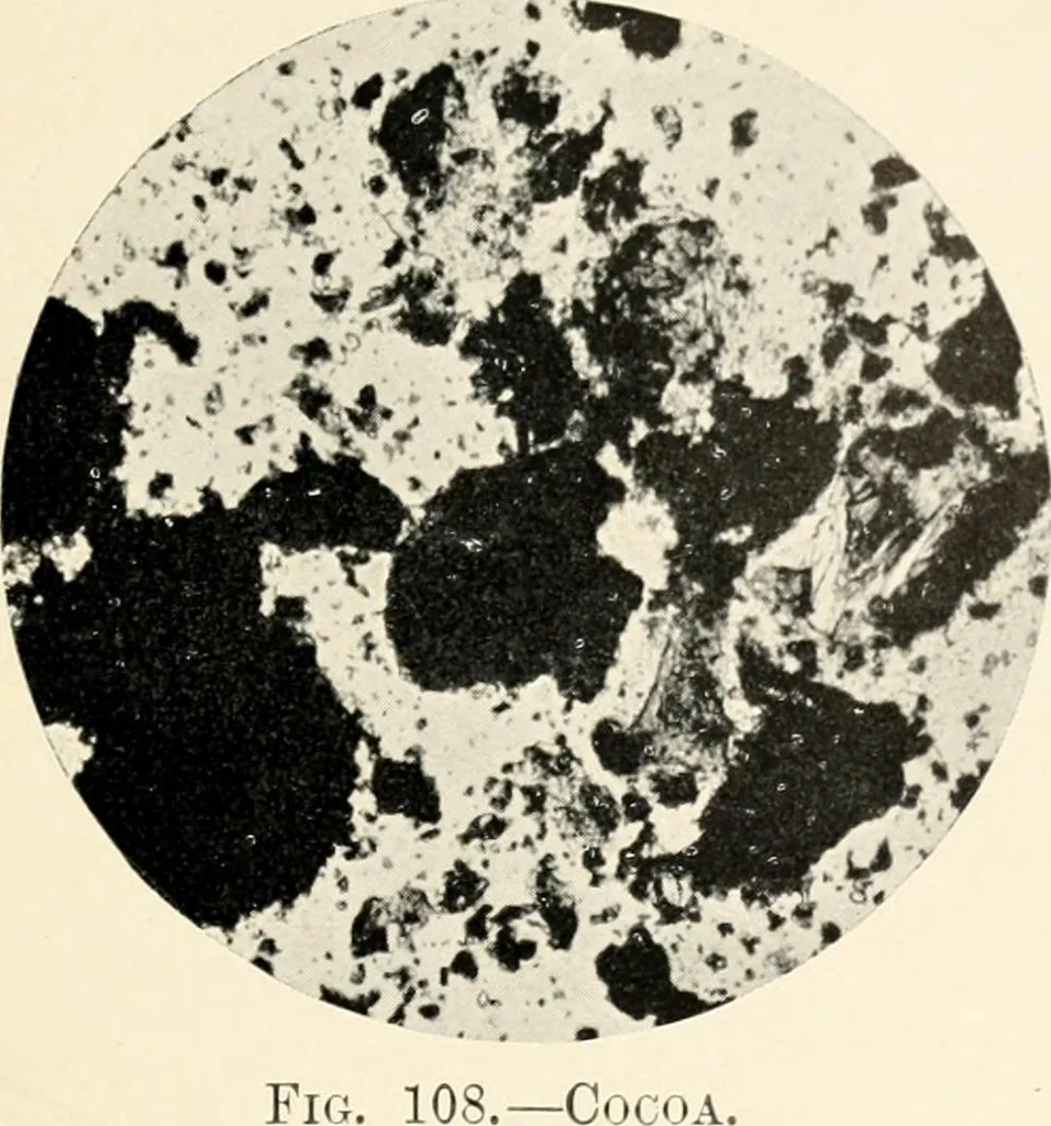 An illustration from Modern microscopy; a handbook for beginners and students, 1912, leaf 346