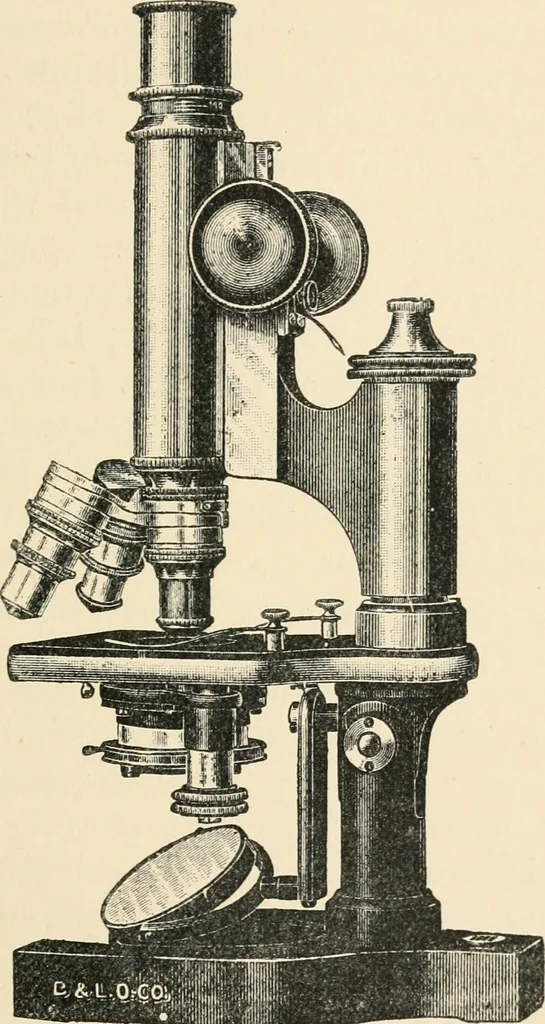 An illustration from Modern microscopy; a handbook for beginners and students, 1912, leaf 38
