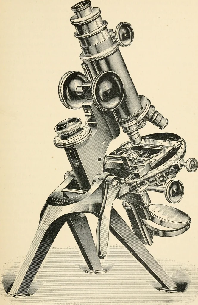 An illustration from Modern microscopy; a handbook for beginners and students, 1912, leaf 46