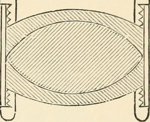 An illustration from Modern microscopy; a handbook for beginners and students, 1912, leaf 60