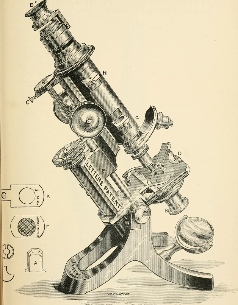 An illustration from Modern microscopy; a handbook for beginners and students, 1912, leaf 66