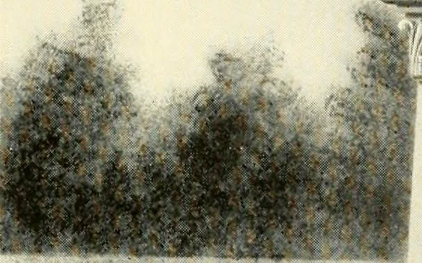 An illustration from Modern monuments, tablets and sarcophagi .., 1907, leaf 110