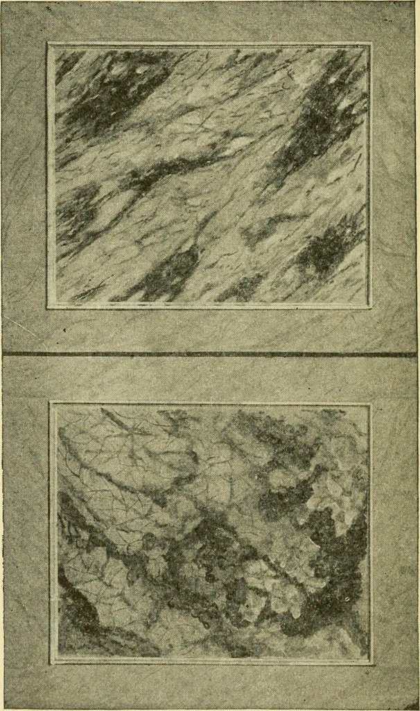 An illustration from Modern painting, hardwood finishing and sign writing .., 1914, leaf 101
